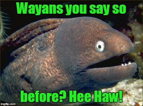 Wayans you say so before? Hee Haw! | made w/ Imgflip meme maker