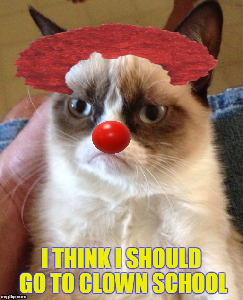 Grumpy Cat Meme | I THINK I SHOULD GO TO CLOWN SCHOOL | image tagged in memes,grumpy cat | made w/ Imgflip meme maker