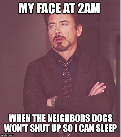 Face You Make Robert Downey Jr | MY FACE AT 2AM; WHEN THE NEIGHBORS DOGS WON'T SHUT UP SO I CAN SLEEP | image tagged in memes,face you make robert downey jr | made w/ Imgflip meme maker