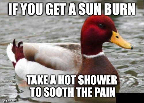 Malicious Advice Mallard | IF YOU GET A SUN BURN; TAKE A HOT SHOWER TO SOOTH THE PAIN | image tagged in memes,malicious advice mallard | made w/ Imgflip meme maker