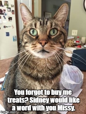 For the love of cat | You forgot to buy me treats? Sidney would like a word with you Missy. | image tagged in memes | made w/ Imgflip meme maker