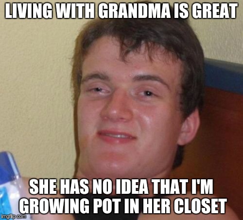 10 Guy Meme | LIVING WITH GRANDMA IS GREAT SHE HAS NO IDEA THAT I'M GROWING POT IN HER CLOSET | image tagged in memes,10 guy | made w/ Imgflip meme maker