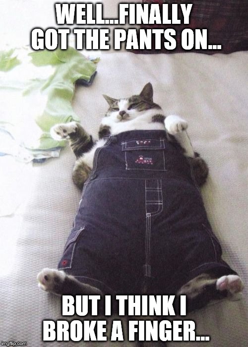 Fat Cat | WELL...FINALLY GOT THE PANTS ON... BUT I THINK I BROKE A FINGER... | image tagged in memes,fat cat | made w/ Imgflip meme maker