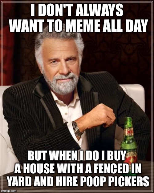 The Most Interesting Man In The World Meme | I DON'T ALWAYS WANT TO MEME ALL DAY BUT WHEN I DO I BUY A HOUSE WITH A FENCED IN YARD AND HIRE POOP PICKERS | image tagged in memes,the most interesting man in the world | made w/ Imgflip meme maker