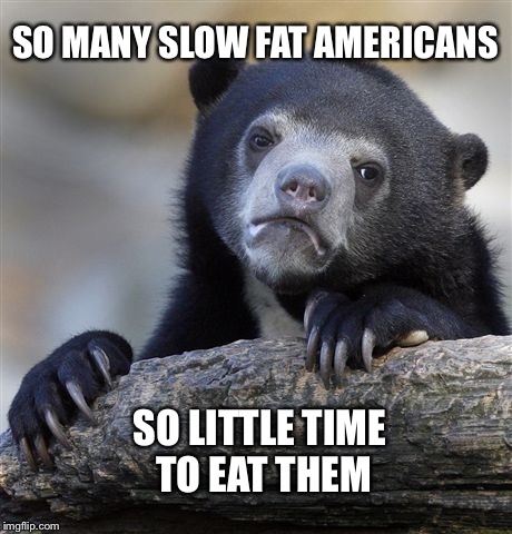 Confession Bear Meme | SO MANY SLOW FAT AMERICANS; SO LITTLE TIME TO EAT THEM | image tagged in memes,confession bear | made w/ Imgflip meme maker