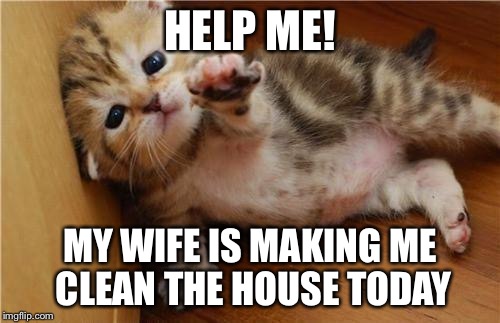 Help Me Kitten | HELP ME! MY WIFE IS MAKING ME CLEAN THE HOUSE TODAY | image tagged in help me kitten,memes | made w/ Imgflip meme maker