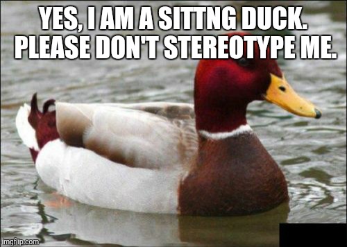 Malicious Advice Mallard | YES, I AM A SITTNG DUCK. PLEASE DON'T STEREOTYPE ME. | image tagged in memes,malicious advice mallard | made w/ Imgflip meme maker