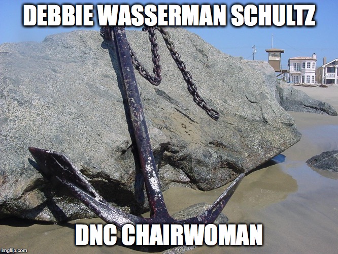 DEBBIE WASSERMAN SCHULTZ; DNC CHAIRWOMAN | image tagged in anchorwassermanschultz | made w/ Imgflip meme maker