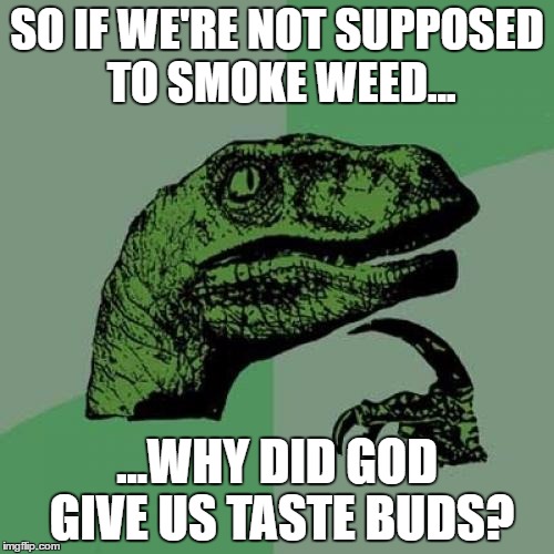 Philosoraptor Meme | SO IF WE'RE NOT SUPPOSED TO SMOKE WEED... ...WHY DID GOD GIVE US TASTE BUDS? | image tagged in memes,philosoraptor | made w/ Imgflip meme maker