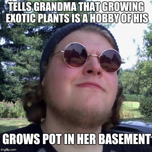 Forever Dependent | TELLS GRANDMA THAT GROWING EXOTIC PLANTS IS A HOBBY OF HIS; GROWS POT IN HER BASEMENT | image tagged in forever dependent,memes | made w/ Imgflip meme maker