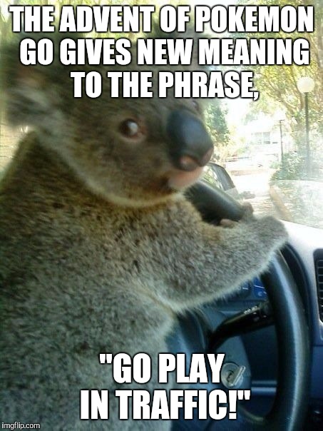 Driving koala  | THE ADVENT OF POKEMON GO GIVES NEW MEANING TO THE PHRASE, "GO PLAY IN TRAFFIC!" | image tagged in driving koala | made w/ Imgflip meme maker