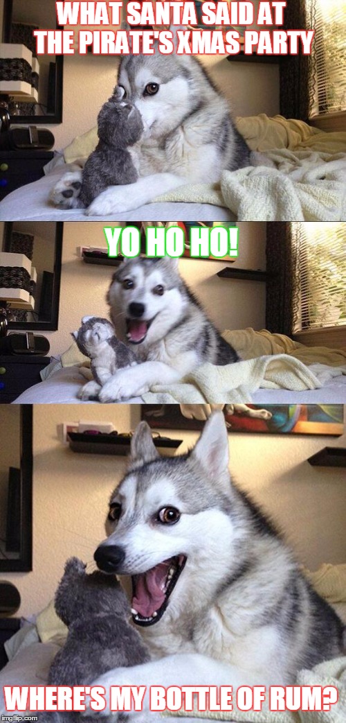 Bad Pun Dog Meme | WHAT SANTA SAID AT THE PIRATE'S XMAS PARTY; YO HO HO! WHERE'S MY BOTTLE OF RUM? | image tagged in memes,bad pun dog | made w/ Imgflip meme maker