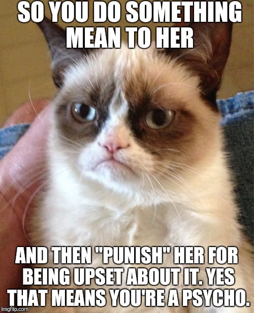 Grumpy Cat | SO YOU DO SOMETHING MEAN TO HER; AND THEN "PUNISH" HER FOR BEING UPSET ABOUT IT. YES THAT MEANS YOU'RE A PSYCHO. | image tagged in memes,grumpy cat | made w/ Imgflip meme maker