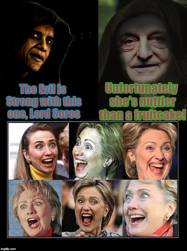 Voices From the Dark Side | Unfortunately she's nuttier than a fruitcake! The Evil is Strong with this one, Lord Soros | image tagged in george soros,obama,crazy hillary clinton,star wars,darth sidious,vince vance | made w/ Imgflip meme maker
