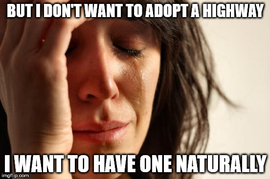 Yes--it's a stupid joke. | BUT I DON'T WANT TO ADOPT A HIGHWAY; I WANT TO HAVE ONE NATURALLY | image tagged in memes,first world problems | made w/ Imgflip meme maker