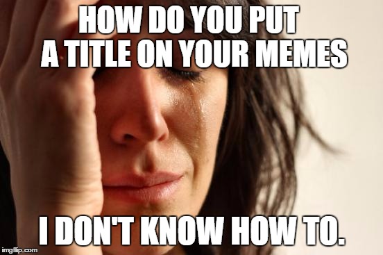 First World Problems | HOW DO YOU PUT  A TITLE ON YOUR MEMES; I DON'T KNOW HOW TO. | image tagged in memes,first world problems | made w/ Imgflip meme maker