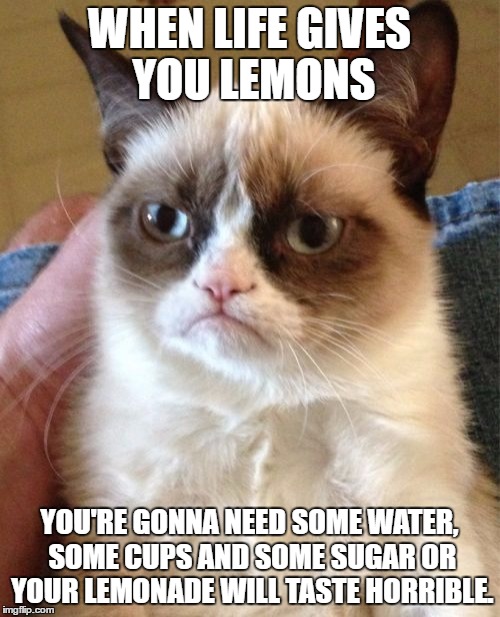 Grumpy Cat | WHEN LIFE GIVES YOU LEMONS; YOU'RE GONNA NEED SOME WATER, SOME CUPS AND SOME SUGAR OR YOUR LEMONADE WILL TASTE HORRIBLE. | image tagged in memes,grumpy cat | made w/ Imgflip meme maker