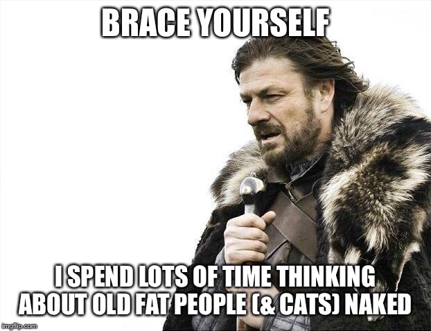 Brace Yourselves X is Coming Meme | BRACE YOURSELF I SPEND LOTS OF TIME THINKING ABOUT OLD FAT PEOPLE (& CATS) NAKED | image tagged in memes,brace yourselves x is coming | made w/ Imgflip meme maker