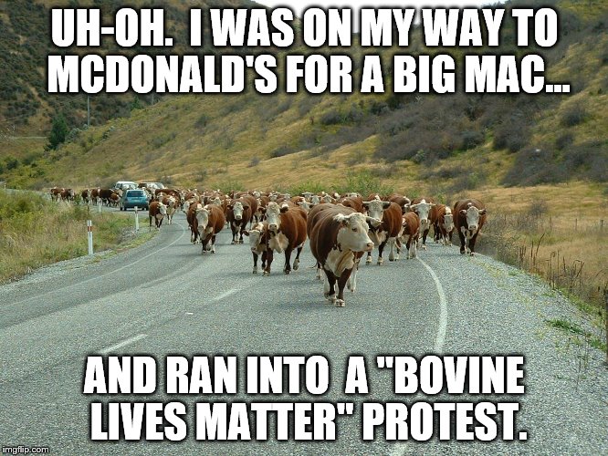 Bovine lives | UH-OH.  I WAS ON MY WAY TO MCDONALD'S FOR A BIG MAC... AND RAN INTO  A "BOVINE LIVES MATTER" PROTEST. | image tagged in comedy | made w/ Imgflip meme maker