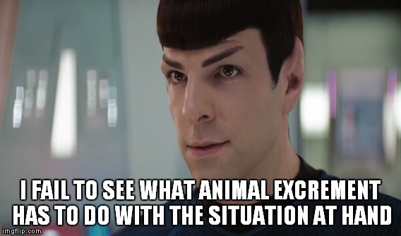 I FAIL TO SEE WHAT ANIMAL EXCREMENT HAS TO DO WITH THE SITUATION AT HAND | made w/ Imgflip meme maker