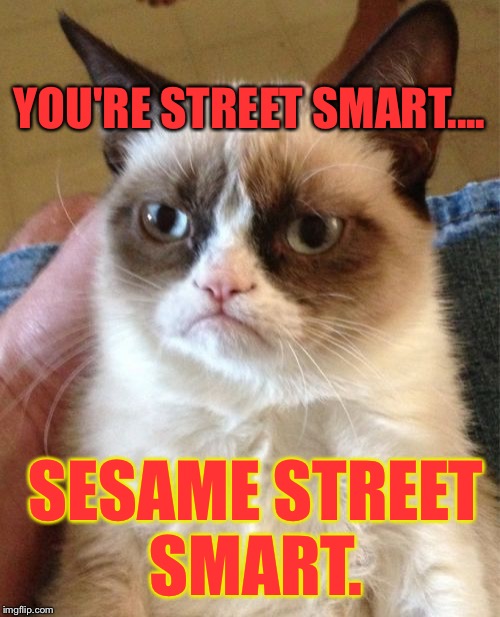 Grumpy Cat Meme | YOU'RE STREET SMART.... SESAME STREET SMART. | image tagged in memes,grumpy cat | made w/ Imgflip meme maker