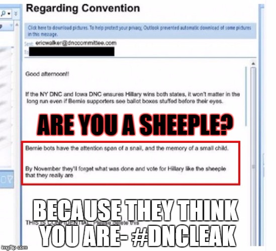 DNCleaks | ARE YOU A SHEEPLE? BECAUSE THEY THINK YOU ARE- #DNCLEAK | image tagged in dncleaks | made w/ Imgflip meme maker