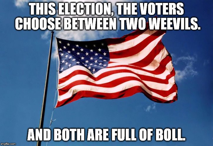 Two weevils | THIS ELECTION, THE VOTERS CHOOSE BETWEEN TWO WEEVILS. AND BOTH ARE FULL OF BOLL. | image tagged in election 2016 | made w/ Imgflip meme maker