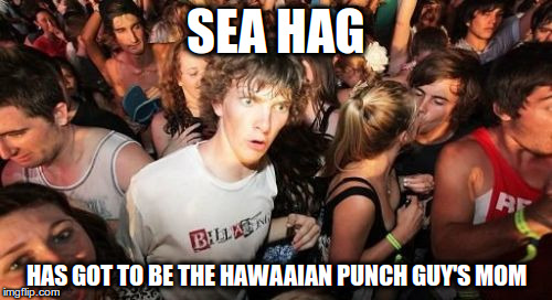 Sudden Clarity Clarence Meme | SEA HAG; HAS GOT TO BE THE HAWAAIAN PUNCH GUY'S MOM | image tagged in memes,sudden clarity clarence | made w/ Imgflip meme maker