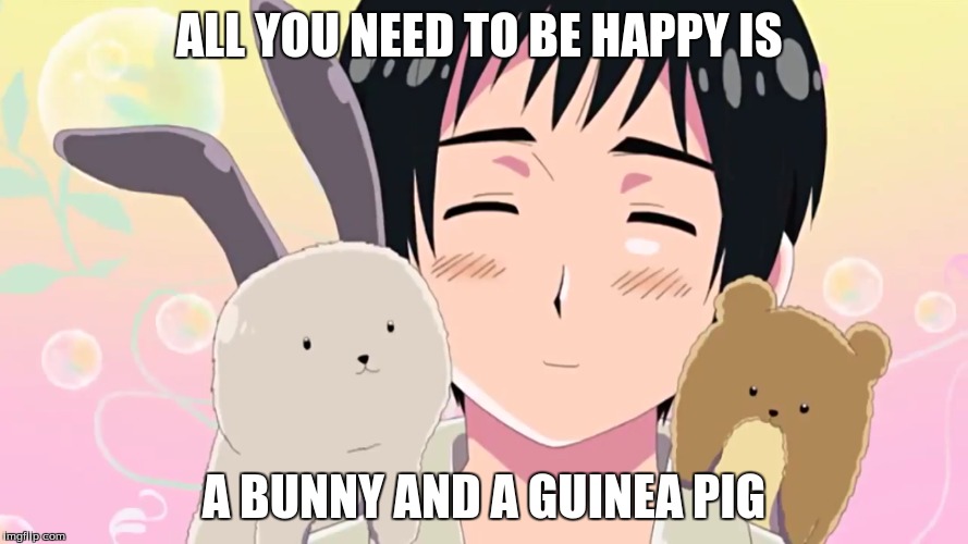 Japan is so cute~ | ALL YOU NEED TO BE HAPPY IS; A BUNNY AND A GUINEA PIG | image tagged in hetalia,japan,anime,manga,bunny,guinea pig | made w/ Imgflip meme maker
