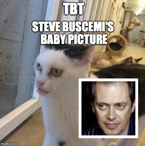 TBT; STEVE BUSCEMI'S BABY PICTURE | image tagged in movies | made w/ Imgflip meme maker