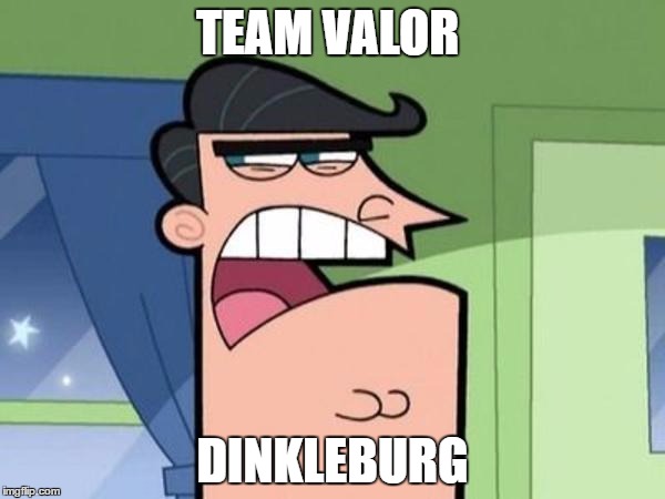 Dinkleberg Blank | TEAM VALOR; DINKLEBURG | image tagged in dinkleberg blank | made w/ Imgflip meme maker