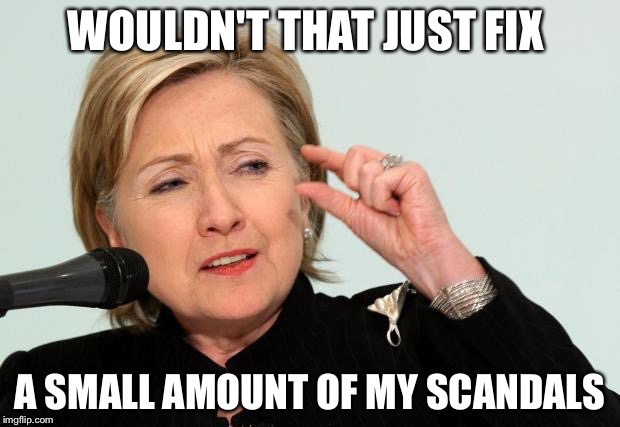 WOULDN'T THAT JUST FIX A SMALL AMOUNT OF MY SCANDALS | made w/ Imgflip meme maker
