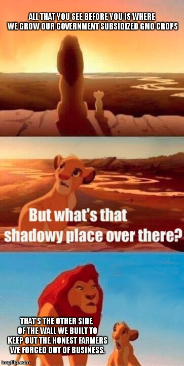 Simba Shadowy Place | ALL THAT YOU SEE BEFORE YOU IS WHERE WE GROW OUR GOVERNMENT SUBSIDIZED GMO CROPS; THAT'S THE OTHER SIDE OF THE WALL WE BUILT TO KEEP OUT THE HONEST FARMERS WE FORCED OUT OF BUSINESS. | image tagged in memes,simba shadowy place | made w/ Imgflip meme maker