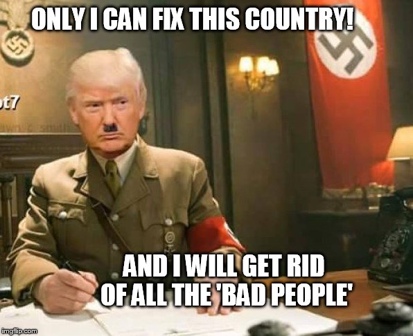 Will the USA have a Nazi fuhrer? | ONLY I CAN FIX THIS COUNTRY! AND I WILL GET RID OF ALL THE 'BAD PEOPLE' | image tagged in trump 2016,trump,donald trump | made w/ Imgflip meme maker