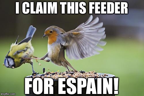 Hernan Cortes Pizarro Sparrownado | I CLAIM THIS FEEDER; FOR ESPAIN! | image tagged in bird sparta | made w/ Imgflip meme maker