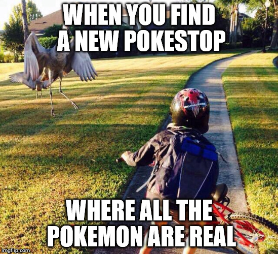 WHEN YOU FIND A NEW POKESTOP; WHERE ALL THE POKEMON ARE REAL | image tagged in pokemon go | made w/ Imgflip meme maker