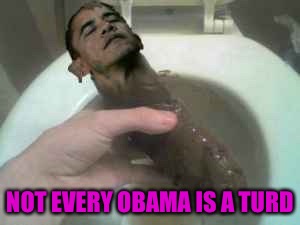 NOT EVERY OBAMA IS A TURD | made w/ Imgflip meme maker