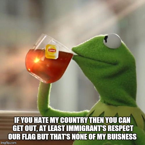 But That's None Of My Business | IF YOU HATE MY COUNTRY THEN YOU CAN GET OUT, AT LEAST IMMIGRANT'S RESPECT OUR FLAG BUT THAT'S NONE OF MY BUISNESS | image tagged in memes,but thats none of my business,kermit the frog | made w/ Imgflip meme maker