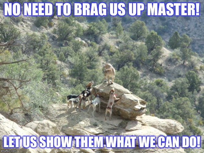 Hounded | NO NEED TO BRAG US UP MASTER! LET US SHOW THEM WHAT WE CAN DO! | image tagged in hunting | made w/ Imgflip meme maker
