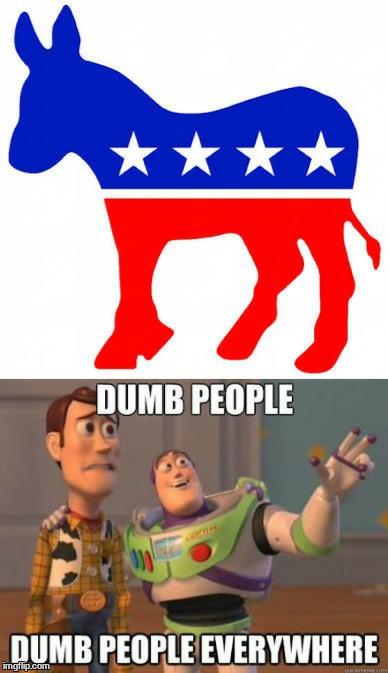 Dumb people everywhere! | image tagged in funny meme | made w/ Imgflip meme maker