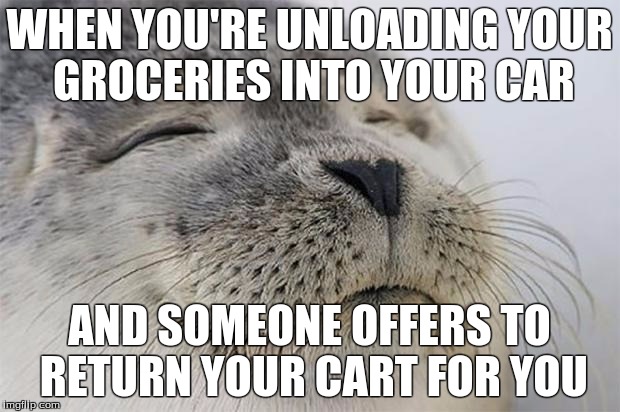 Satisfied Seal | WHEN YOU'RE UNLOADING YOUR GROCERIES INTO YOUR CAR; AND SOMEONE OFFERS TO RETURN YOUR CART FOR YOU | image tagged in memes,satisfied seal,AdviceAnimals | made w/ Imgflip meme maker
