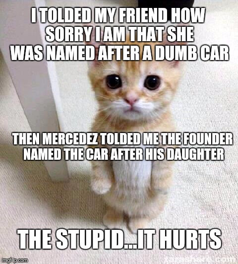 Cute Cat | I TOLDED MY FRIEND HOW SORRY I AM THAT SHE WAS NAMED AFTER A DUMB CAR; THEN MERCEDEZ TOLDED ME THE FOUNDER NAMED THE CAR AFTER HIS DAUGHTER; THE STUPID...IT HURTS | image tagged in memes,cute cat | made w/ Imgflip meme maker