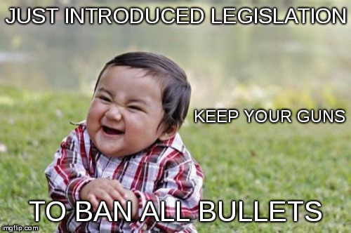 Tell me this won't happen... | JUST INTRODUCED LEGISLATION; KEEP YOUR GUNS; TO BAN ALL BULLETS | image tagged in memes,evil toddler,bullets,gun control | made w/ Imgflip meme maker