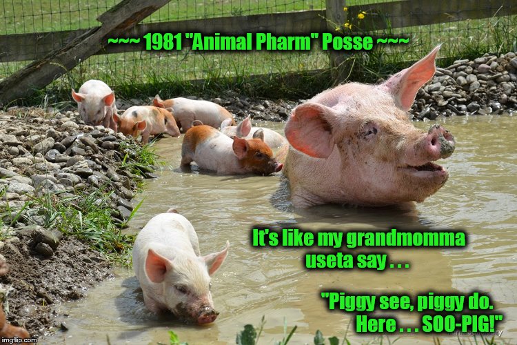 Pigs | ~~~ 1981 "Animal Pharm" Posse ~~~; It's like my grandmomma useta say . . . "Piggy see, piggy do.   

       Here . . . SOO-PIG!" | image tagged in meme,muddy pigs,1981 animal pharm posse | made w/ Imgflip meme maker