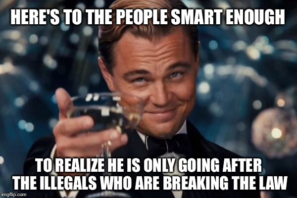 Leonardo Dicaprio Cheers Meme | HERE'S TO THE PEOPLE SMART ENOUGH TO REALIZE HE IS ONLY GOING AFTER THE ILLEGALS WHO ARE BREAKING THE LAW | image tagged in memes,leonardo dicaprio cheers | made w/ Imgflip meme maker