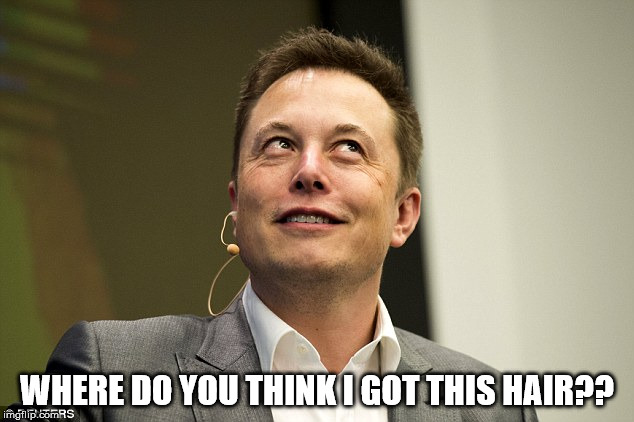 Elon Musk | WHERE DO YOU THINK I GOT THIS HAIR?? | image tagged in elon musk | made w/ Imgflip meme maker