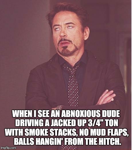 Face You Make Robert Downey Jr Meme | WHEN I SEE AN ABNOXIOUS DUDE DRIVING A JACKED UP 3/4" TON WITH SMOKE STACKS, NO MUD FLAPS,  BALLS HANGIN' FROM THE HITCH. | image tagged in memes,face you make robert downey jr | made w/ Imgflip meme maker