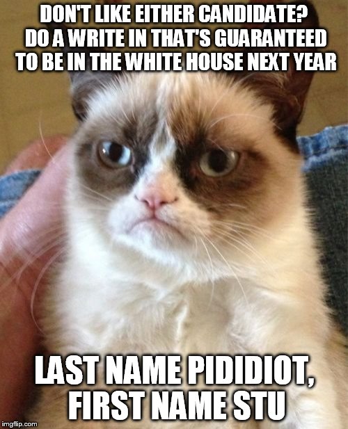 No good options? | DON'T LIKE EITHER CANDIDATE? DO A WRITE IN THAT'S GUARANTEED TO BE IN THE WHITE HOUSE NEXT YEAR; LAST NAME PIDIDIOT, FIRST NAME STU | image tagged in memes,grumpy cat,it's an old joke,write-in,election 2016,can't blame minnesota | made w/ Imgflip meme maker