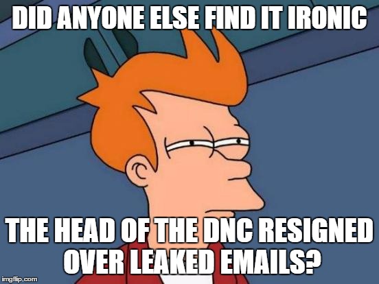 Futurama Fry Meme | DID ANYONE ELSE FIND IT IRONIC; THE HEAD OF THE DNC RESIGNED OVER LEAKED EMAILS? | image tagged in memes,futurama fry | made w/ Imgflip meme maker
