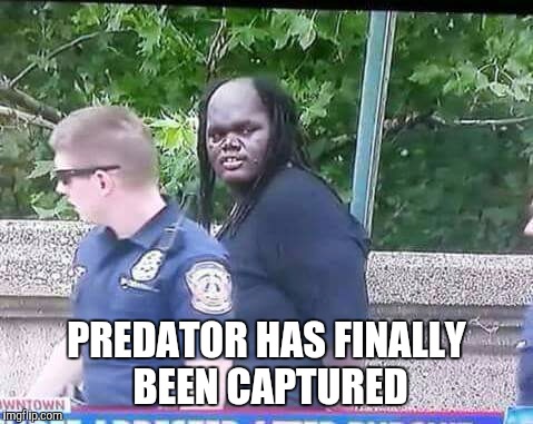 Predator? | PREDATOR HAS FINALLY BEEN CAPTURED | image tagged in predator,arrested | made w/ Imgflip meme maker